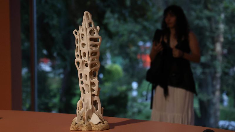 GERDA GRUBER ENTREGA MEDALLA BELLAS ARTES romina solis
